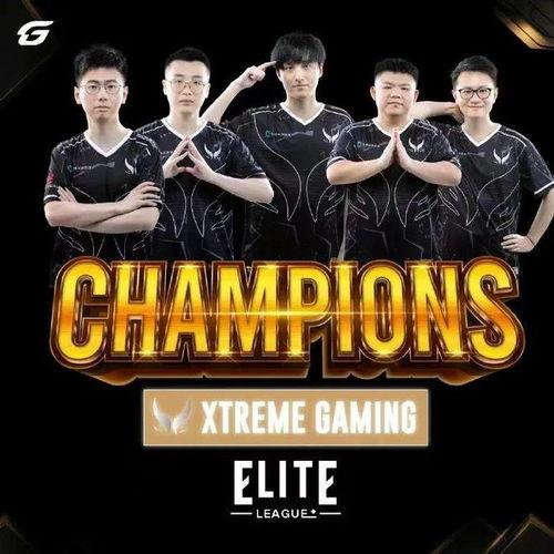 金牌精英团队爆料视频,独家爆料视频深度解析